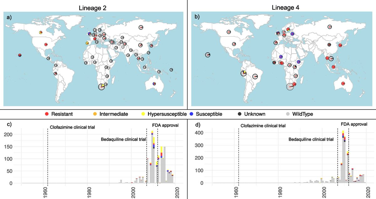 Our latest paper on drug resistance in tuberculosis (TB) is just published in Genome Medicine – a collective effort lead by the fantastic @LucyvanDorp  🔬👩‍🔬
Full paper here: tinyurl.com/2583zxhj
#TB #DrugResistance #Tuberculosis #Bedaquiline #Genomics #AcademicTwitter