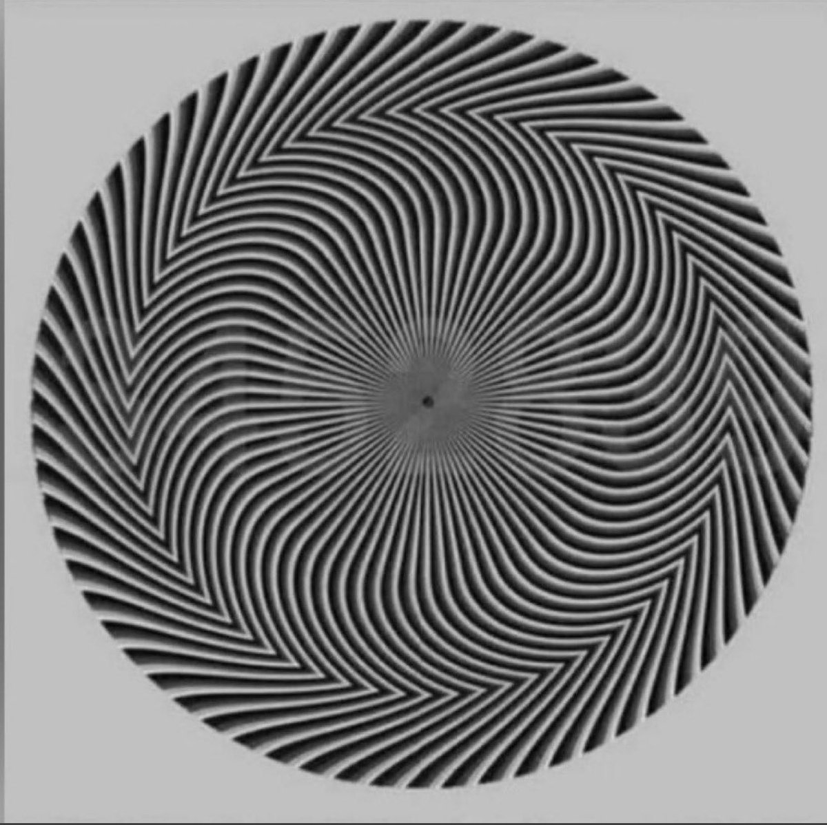 CyberDoge tweet media