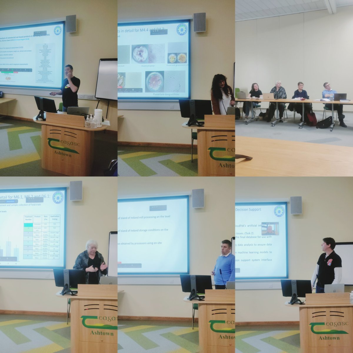 🌟 Last week, we successfully hosted the 4th stakeholder meeting for our MYCOTOX-I project at Teagasc, Ashtown! 🎉🎉
#MYCOTOXI #StakeholderMeeting #MycotoxinResearch #DAFM #DAERA #Teagasc #UCD #MUI #QUB #AFBI