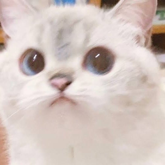 🤓 (@seokreu) on Twitter photo 