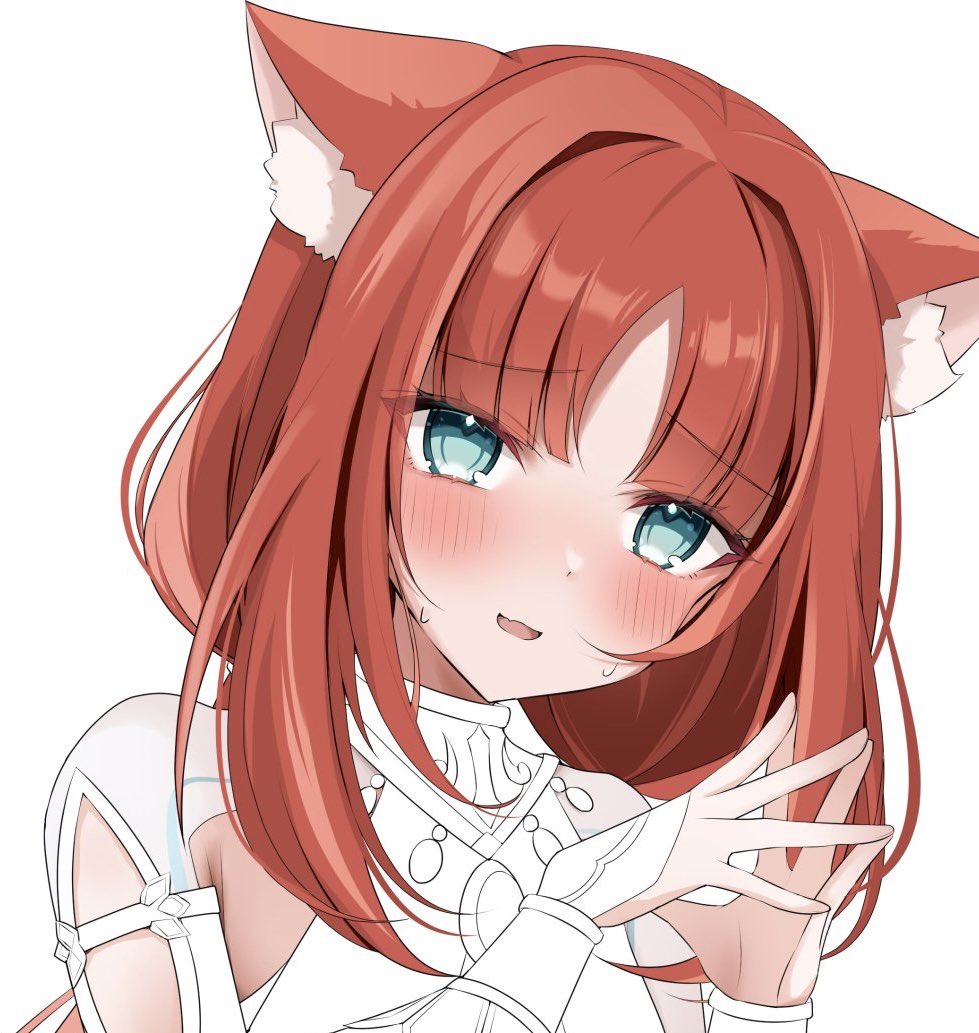 nilou (genshin impact) 1girl animal ears solo cat ears white background blush red hair  illustration images