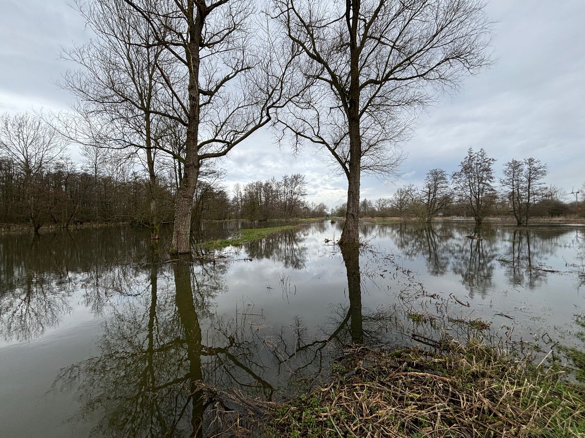 Breaking News: Flooding at Sculthorpe Moor as small inland drainage ditch overflows again! Could this be a sign of bigger issues to come? Stay tuned for updates. We are still partially open! #SculthorpeMoor