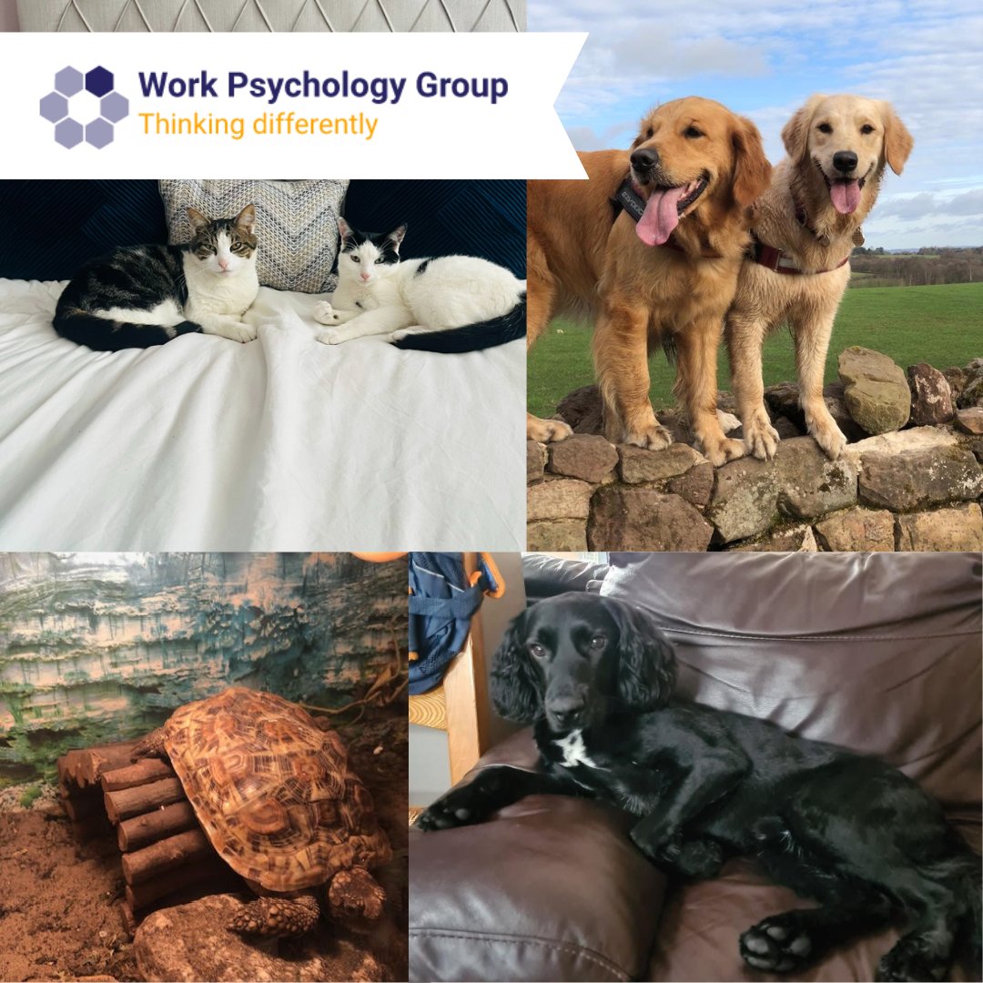 WorkPsychGroup tweet picture