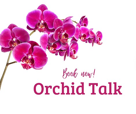 Show your orchids some love and encourage them to re-flower. Book your seat at our Orchid Talk, 11am Sunday 17 March, £2.50 per person for expert advice.
ashteadpark.com/webshop/events…

#HouseplantTalk #OrchidCare #OrchidExpertise #OrchidTalk #AshteadTalk #Surrey