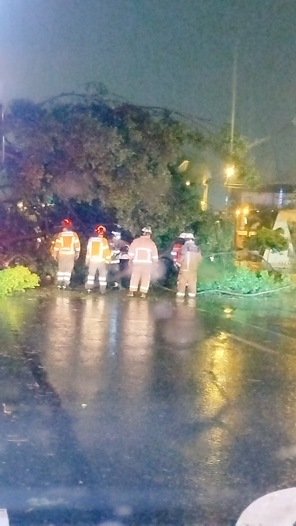 obscar23's tweet image. #Guayaquil #Víaalacosta  Fuerte tormenta eléctrica seguramente motivo a la caída de un árbol a la altura del Ecotec alrededor de las 23:00 de anoche, ocasionó sendos inconvenientes sentido Chongón Guayaquil @AntiradarGYE @Caravana750 @RadioDibluFM @eluniversocom @tctelevision