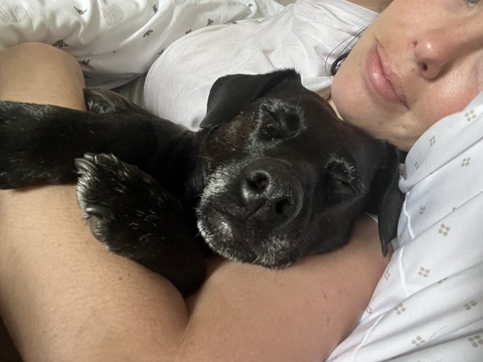 Who needs sleep anyway… it’s totally fine.. ?  Atleast I have a good cuddle bug!! https://t.co/kDvSu