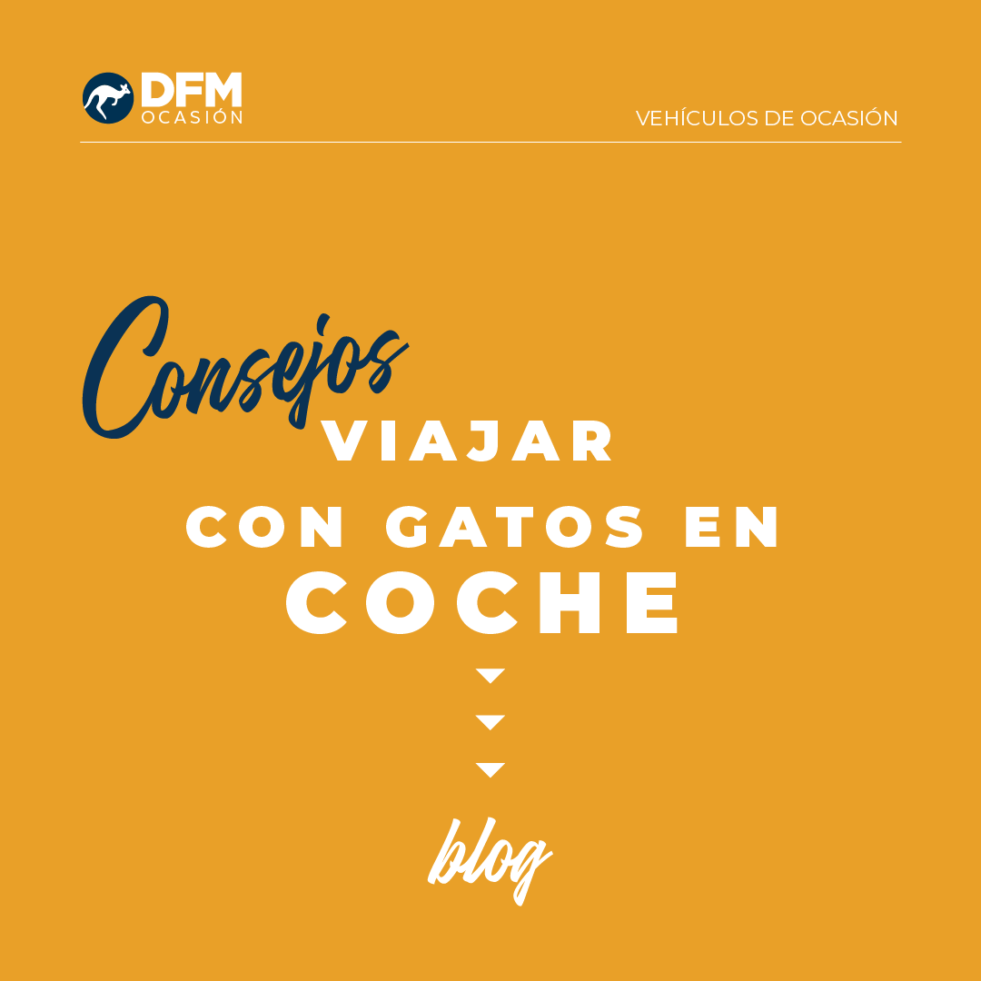DFMocasion tweet media