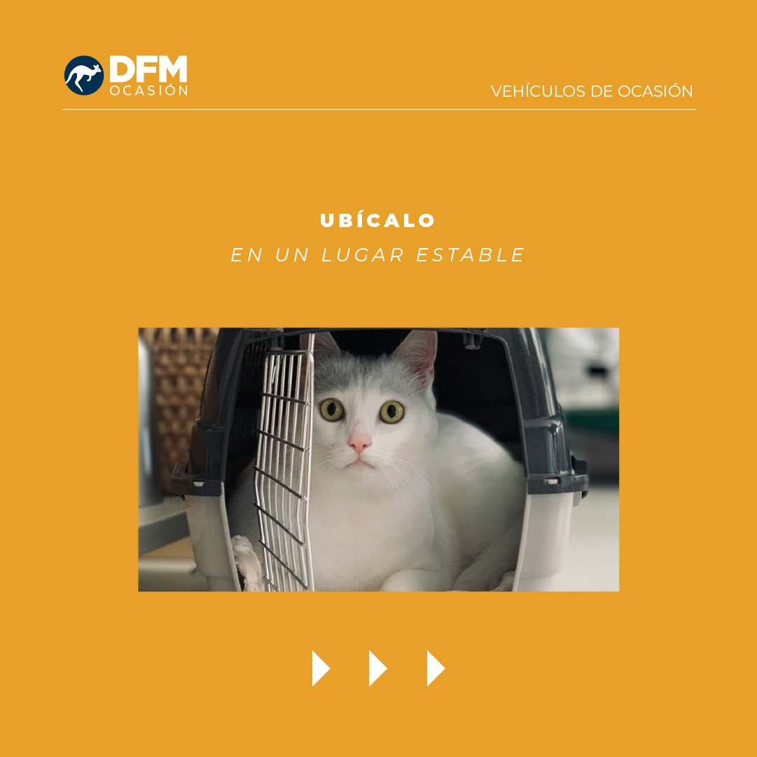 DFMocasion tweet media
