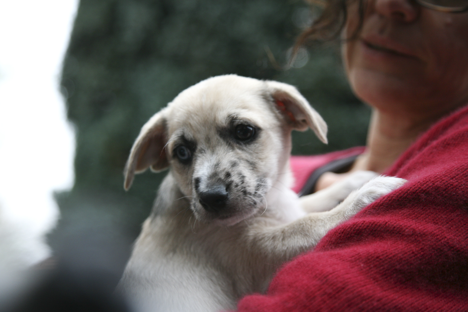 Hilde Van Mieghem tweet media