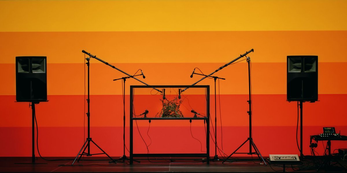 designboom's tweet photo. sónar 2024 (@SonarFestival) completes festival lineup, including the use of AI in music and creative industries https://t.co/bqWhnSmNMD https://t.co/jLzwbKuTpq