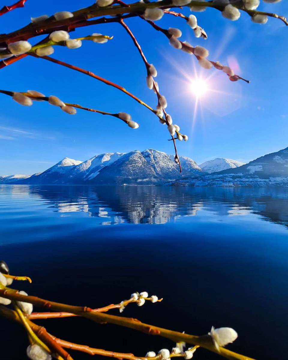 Is this a sign of spring 🌞
Beautiful Day 💙