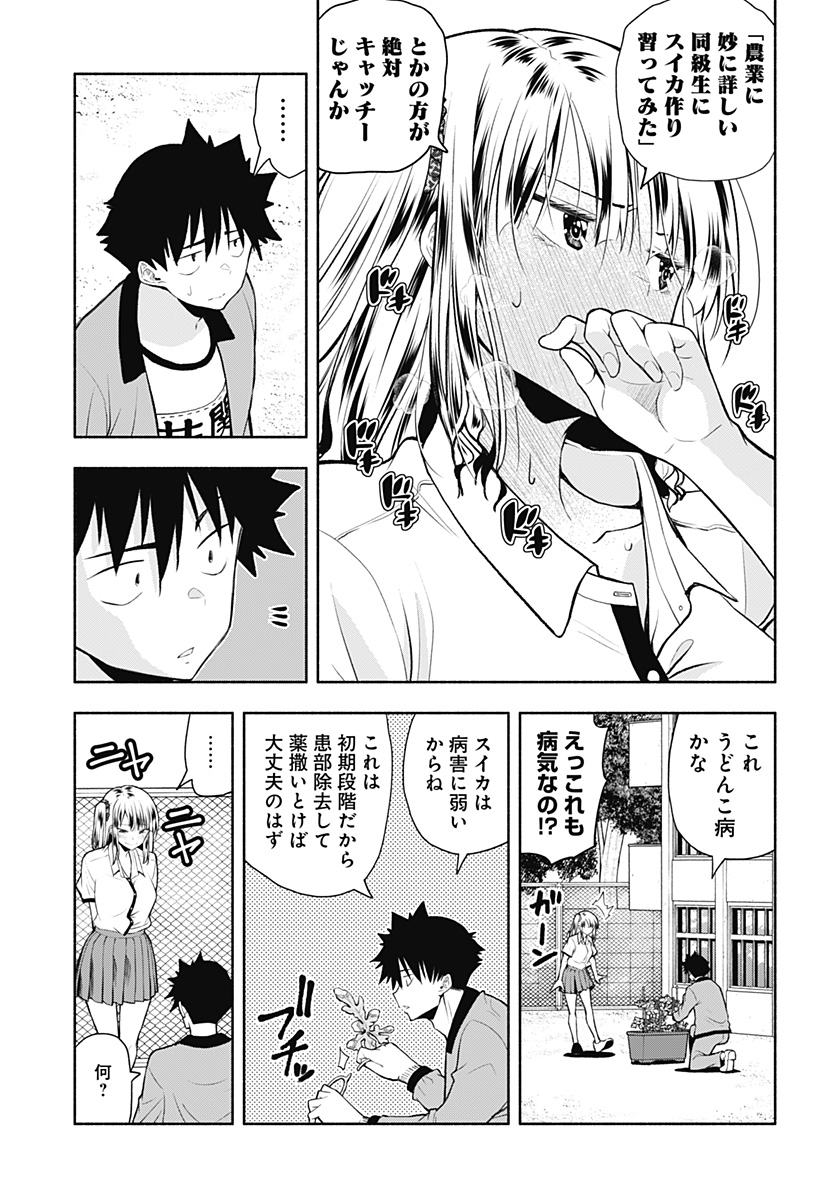 (11/13) 