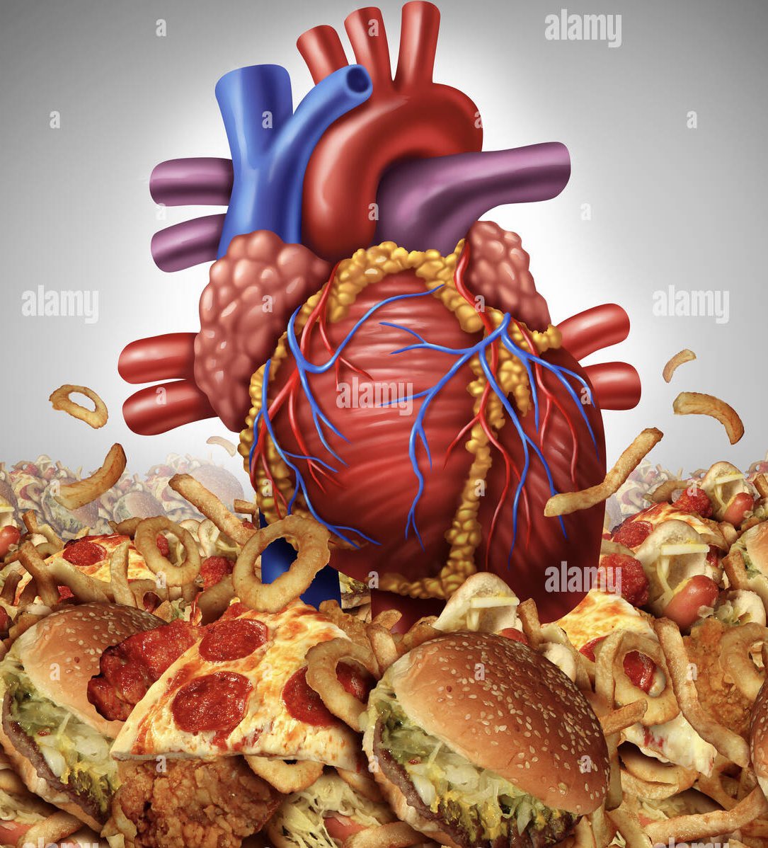 🌟Exclusif🌟formation unique 

Renforcez vos compétences, formez vous en nutrition avec Le Panse Formation.Prochaine session: du 08 au 12/04 2024 à paris. 
- Éligible au C.P.F

Inscriptions lepansebenedicte@yahoo.fr 
lepanse-formation.com