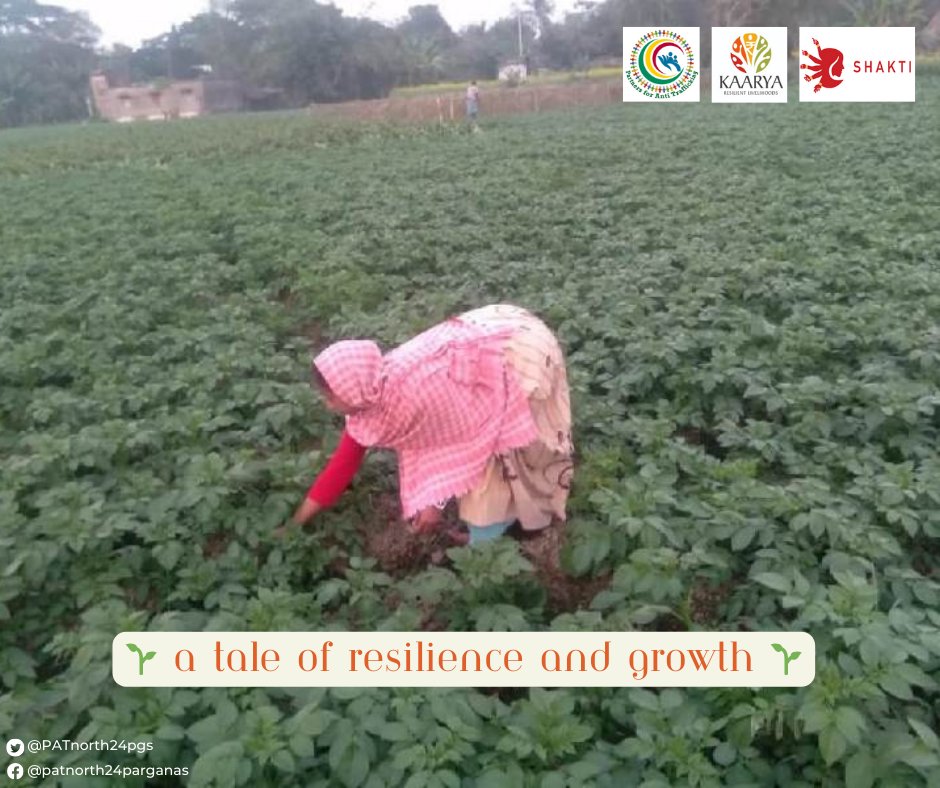 🌱 Resilience in Action: Trafficked at 14, she now thrives as a farmer near Kolkata. With SHG loans, she expands her land and income, fighting for justice. Her story inspires hope and empowerment. 

Read more : bit.ly/3UMKOcD
 #Resilience #individualentrepreneurship