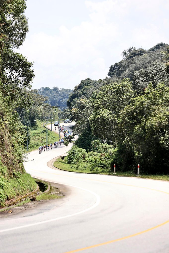 GGxyniaXwAAUTso?format=jpg&name=medium