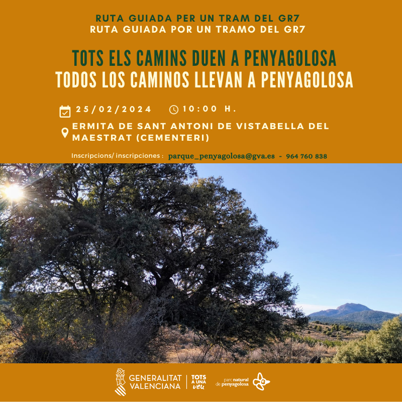 👣Todos los caminos llevan a Penyagolosa. 🥾Ruta guiada por un tramo del nuevo trazado del GR7 desde Vistabella del Maestrat hacia Sant Joan de Penyagolosa.