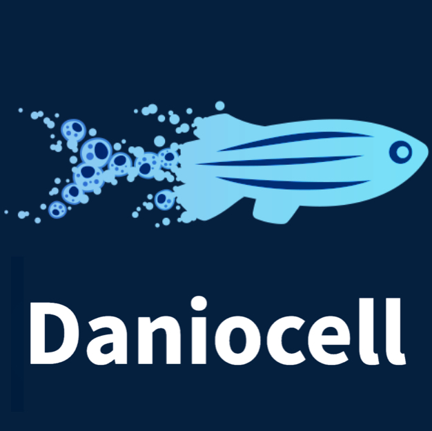 New Featured Resource: Daniocell 🐟 Find out more from @JeffreyAFarrell and @abhinav_sur about the exploratory tool for researchers to navigate pre-computed, time-resolved gene expression information for each cell type during #zebrafish development. ➡️thenode.biologists.com/featured-resou…