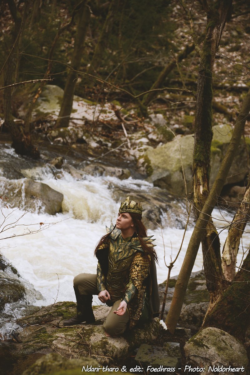 @silverlynxcos @NinaLymira (15/) Ndani-tharo (Denethor, Lord of the Nandor)
#tolkiencosplay #tolkien #silmarillion