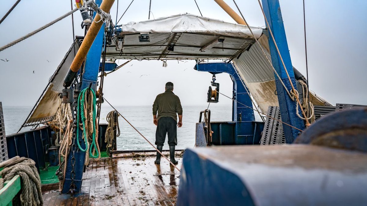 📢At #FishForum2024, discussions centre on the significant impacts of #ClimateChange on the #Med and #BlackSea #fisheries 🌊 🤝🏼Together, we will draft a roadmap to establish a #GFCM Network of #experts on climate change.