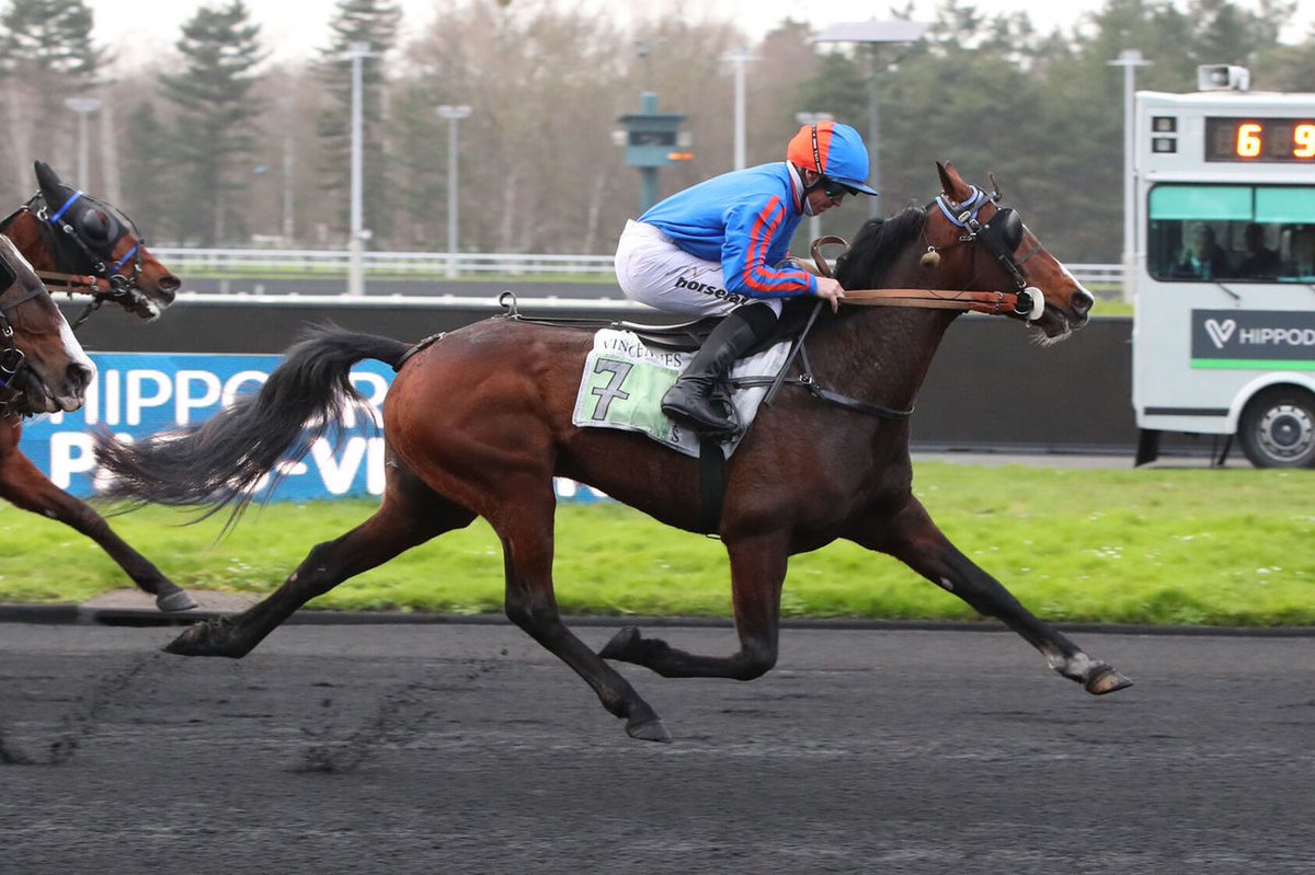 ARQANA Trot tweet media