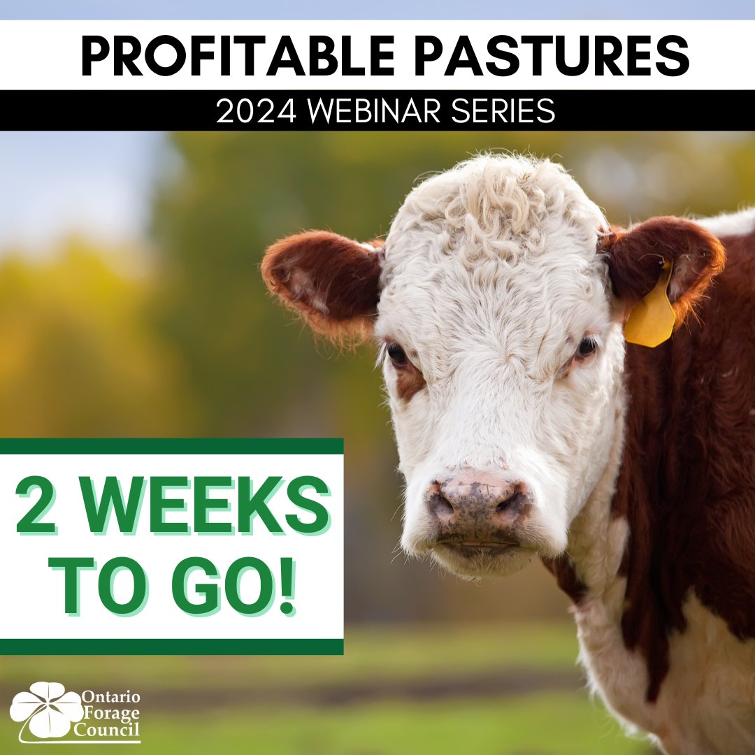 ForageCouncil's tweet photo. Your livestock wants you to attend #ProfitablePastures! Register now to learn about: Getting Started on Rotational Grazing, Predicting Cattle Performance from Grazed Pasture, The Best Money Spent on the Ranch
https://t.co/4OWHxbyreS https://t.co/EJXwEjSLCJ