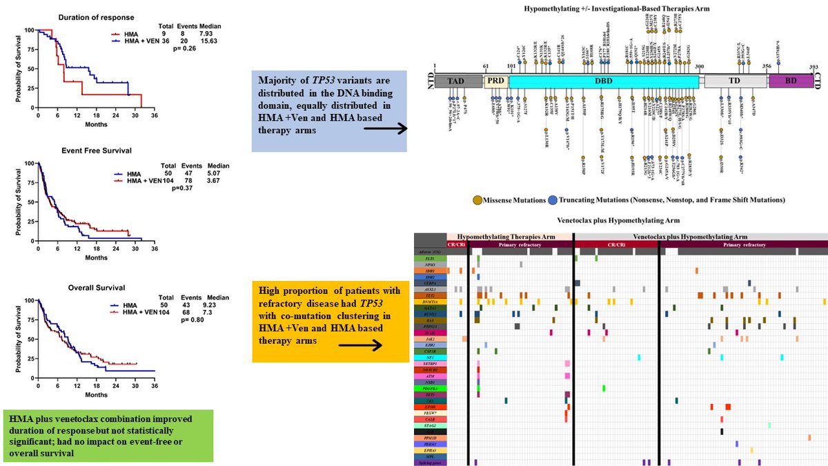 Latest paper from COMMAND consortium. HMA vs HMA+Ven for #TP53m AML HMA+Ven ↑ CR and DOR; bridge to allo_HCT. Didn't ↑ OS compared to HMA alone. Question now: should elderly, frail, pts Rx with HMA+Ven or HMA? #leusm nature.com/articles/s4140…