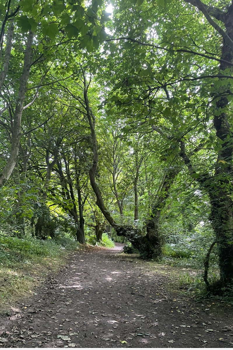 PenrhosSave's tweet photo. How could anyone contemplate destroying this to build 500 soulless holiday chalets a 900 space car park and an entertainment complex!   Penrhos is loved by the local
Community and visitors alike 
 📸taken by Shirley Blease, Kevin Thomas,Bernie Humpleby and Hilary Paterson-Jones https://t.co/5AmCD1shi5