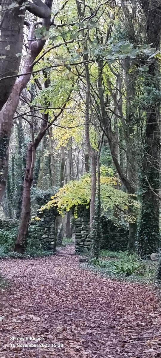 PenrhosSave's tweet photo. How could anyone contemplate destroying this to build 500 soulless holiday chalets a 900 space car park and an entertainment complex!   Penrhos is loved by the local
Community and visitors alike 
 📸taken by Shirley Blease, Kevin Thomas,Bernie Humpleby and Hilary Paterson-Jones https://t.co/5AmCD1shi5