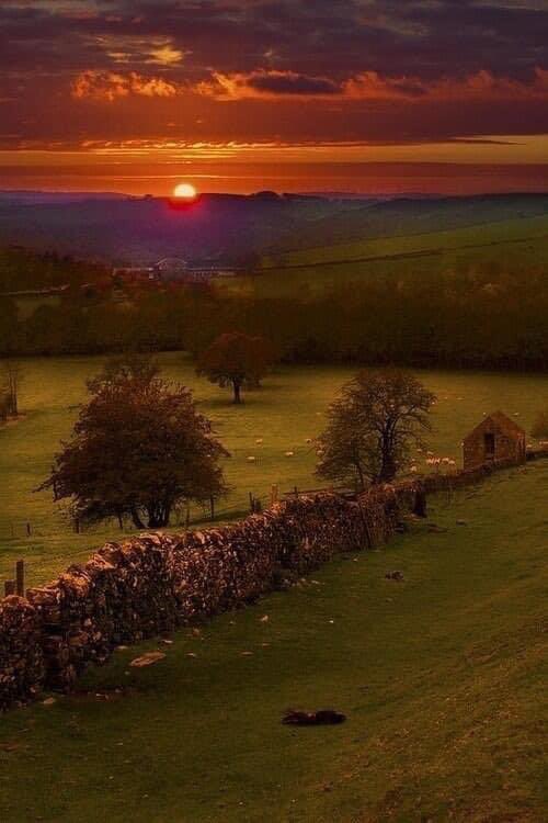 “And I feel above me the day-blind stars
waiting with their light. For a time
I rest in the grace of the world, and am free.” 

~Wendell Berry (The Peace of Wild Things)