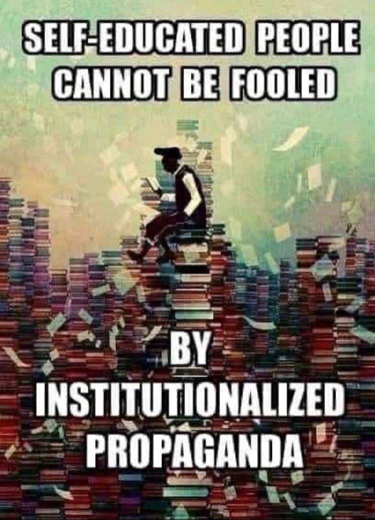 MoonInVeritas's tweet image. #Autodidactic 📚 🦉 ✍🏼 📜