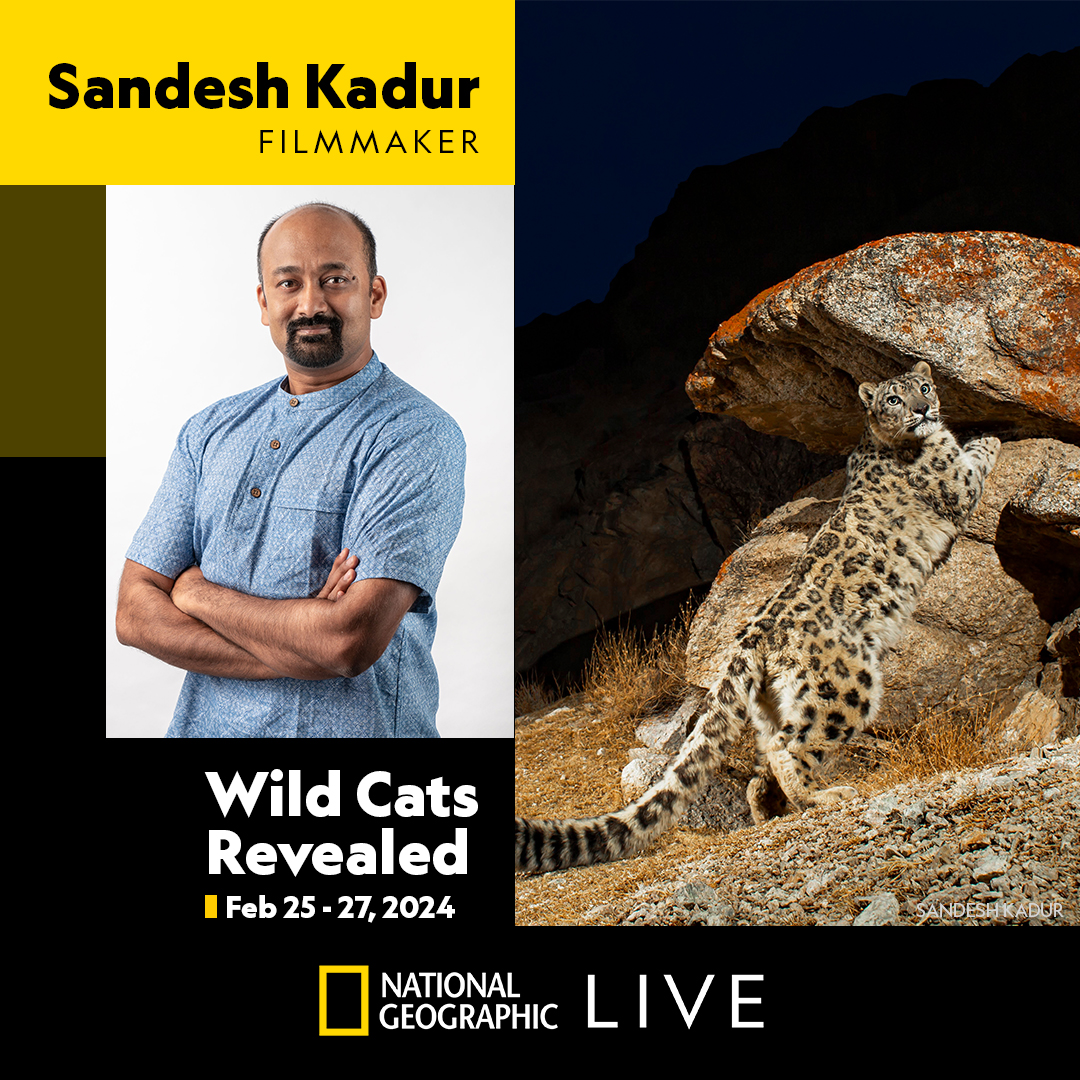 Roy Thomson Hall (@roythomsonhall) on Twitter photo Catch award-winning filmmaker and National Geographic Fellow <a href="/SandeshKadur/">Sandesh Kadur</a>: Wild Cats Revealed, from February 25 - 27 at Roy Thomson Hall as part of our <a href="/NatGeoLive/">Nat Geo Live</a> series!
Tickets: loom.ly/fUmaxdk
#perpetualplanet #nationalgeographiclive
1/2 Catch award-winning filmmaker and National Geographic Fellow <a href="/SandeshKadur/">Sandesh Kadur</a>: Wild Cats Revealed, from February 25 - 27 at Roy Thomson Hall as part of our <a href="/NatGeoLive/">Nat Geo Live</a> series!
Tickets: loom.ly/fUmaxdk
#perpetualplanet #nationalgeographiclive
1/2