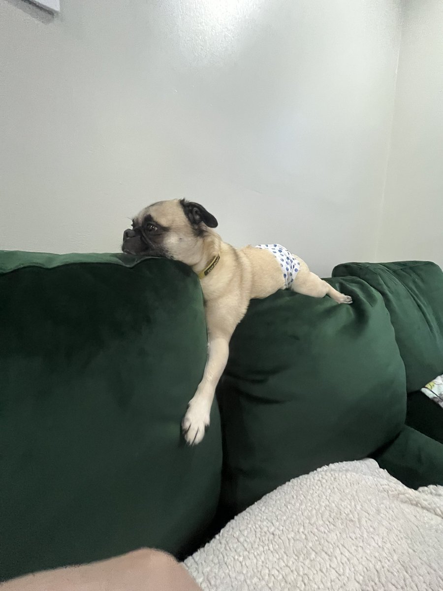 Somebody is living his best life