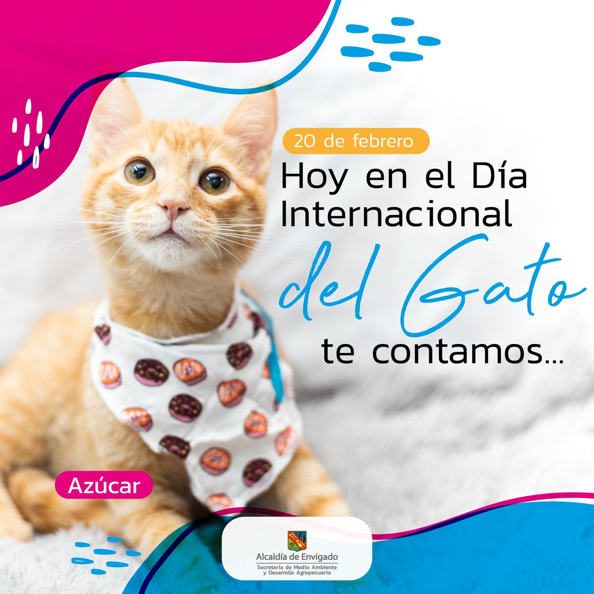 Secretaría de Medio Ambiente de Envigado tweet media