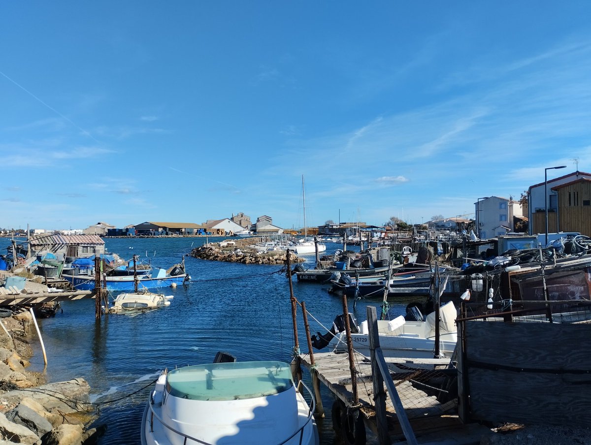 Balade à pied, hier, lundi, jour de repos à #PointeCourte ici à #Sète
Intacte depuis toujours... À découvrir !!!
Et toujours plein de 🌞☀️🌞☀️ ici !! 
<a href="/grandrue66/">GrandRue66 - Concept Store - 34200 Sète</a>