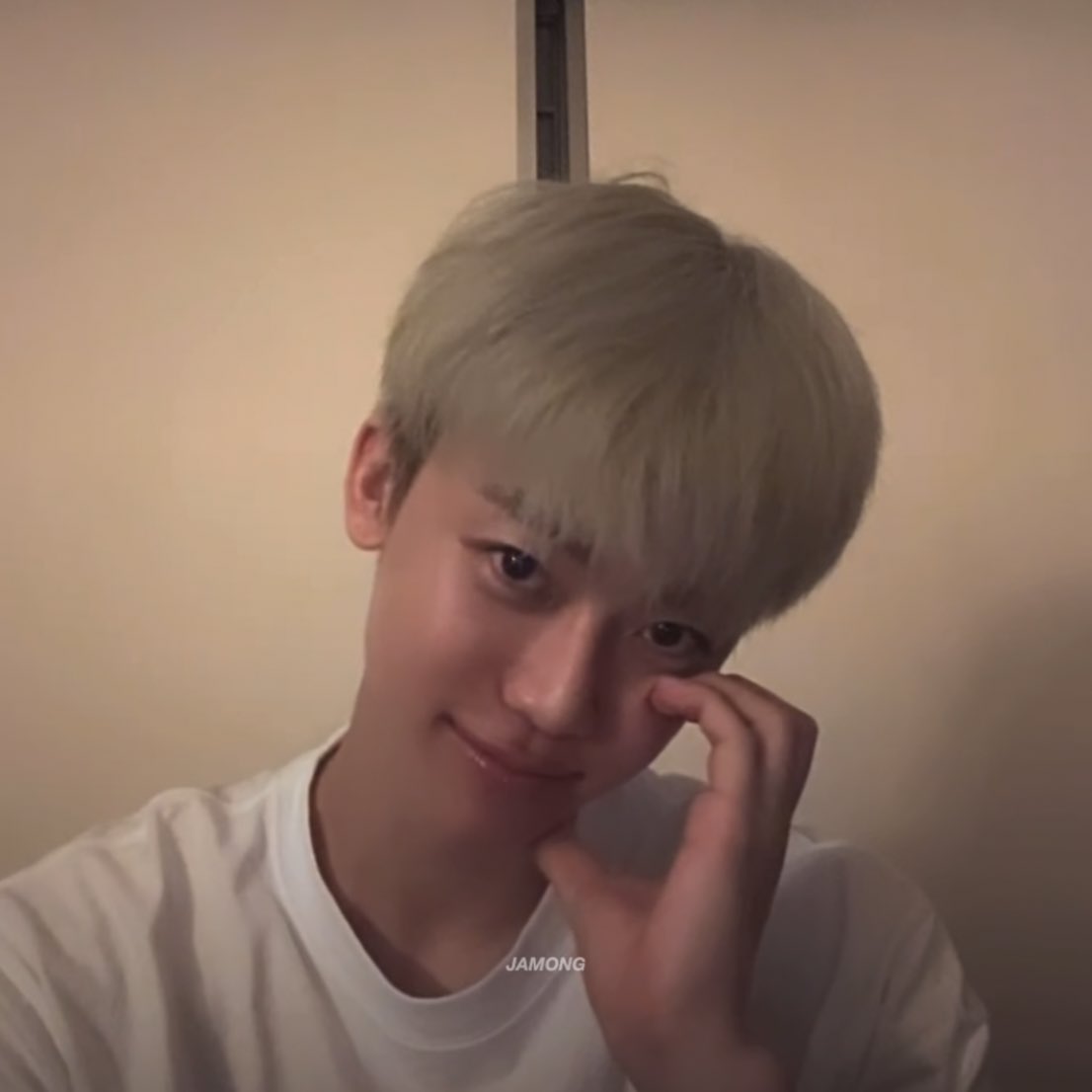 자몽 tweet media