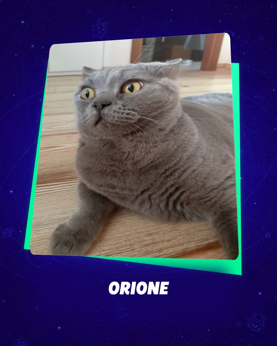 Mario + Rabbids Sparks of Hope tweet media