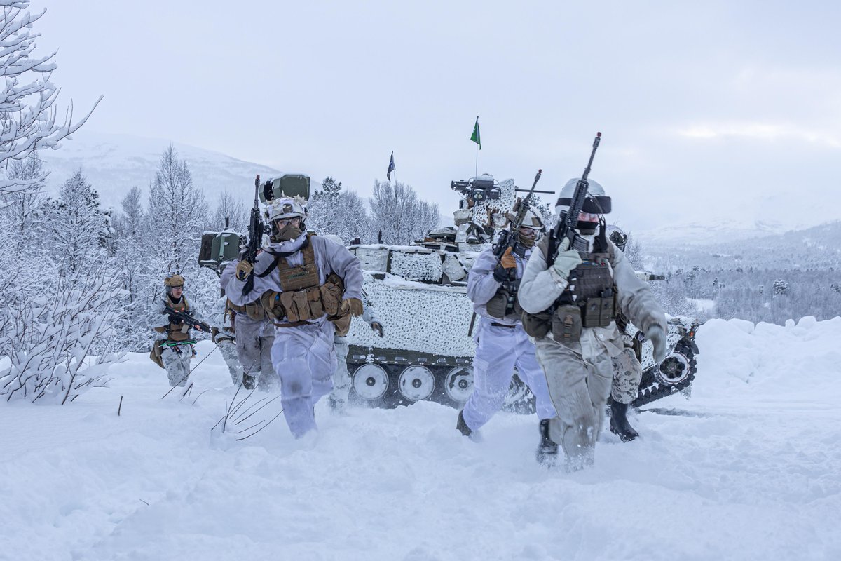 #Marines with @2dMarDiv alongside NATO #alliesandpartners conduct a breaching and clearing mission in preparation for Nordic Response 24 in Setermoen, Norway, Feb. 7. Nordic Response aims to enhance Arctic security, elevate global readiness, and foster interoperability. #USMC