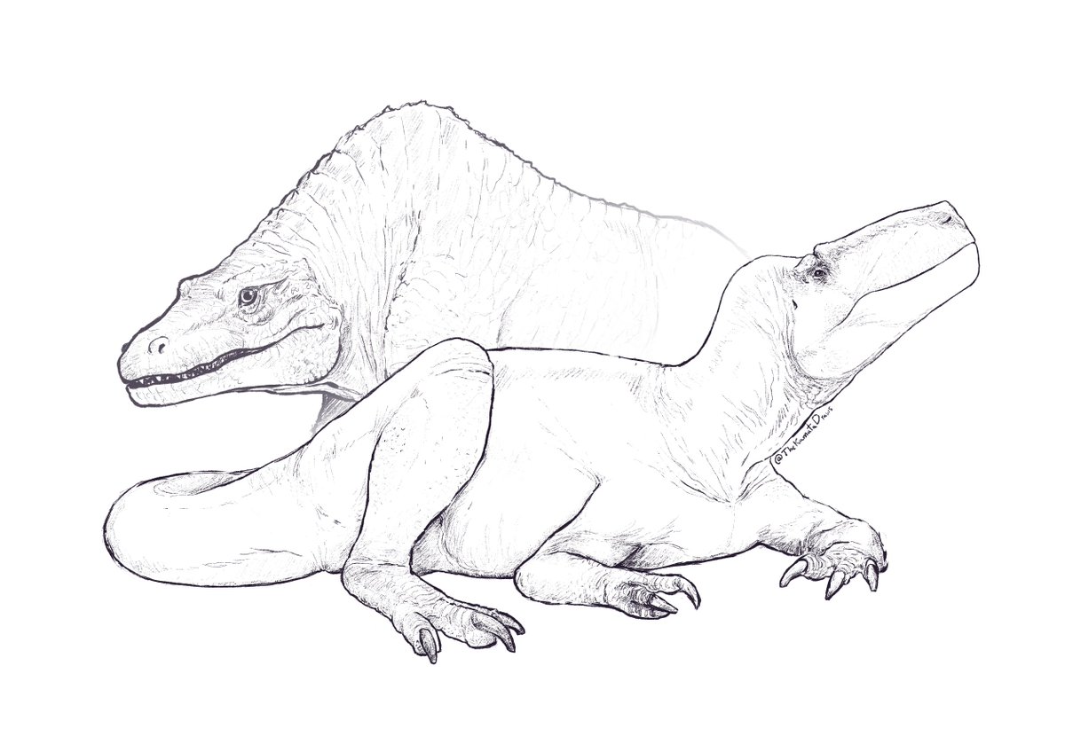 TheKamataDraws's tweet image. Happy Birthday to the big boy!!
Megalosaurus it's now 200 years old!💜🎂