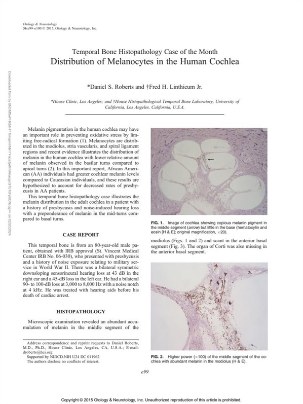 Fez☯️🐸 tweet media