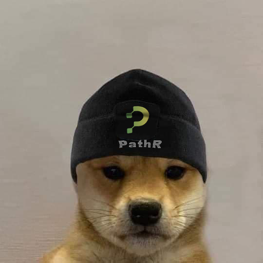 PathR tweet media