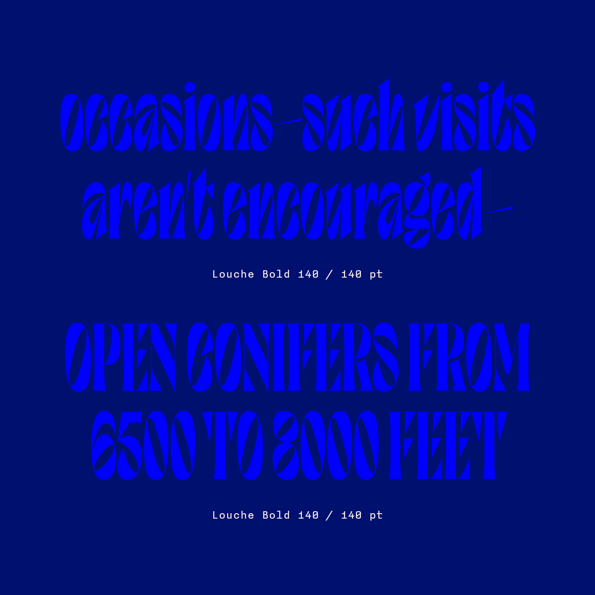 Domicile Foundry tweet media