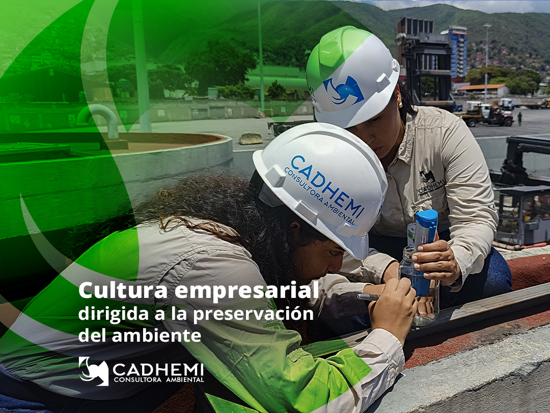 cadhemi's tweet photo. Impulsamos y promovemos la creación de una cultura empresarial dirigida a la preservación, cuidado y mejora del ambiente en cada una de una de nuestras actividades y proyectos.💚

#cadhemi
#elambientenoespera🌱
#ingenieriambiental🌳
#culturaempresarial
#7transformaciones2030 https://t.co/NHWRfFF0RY