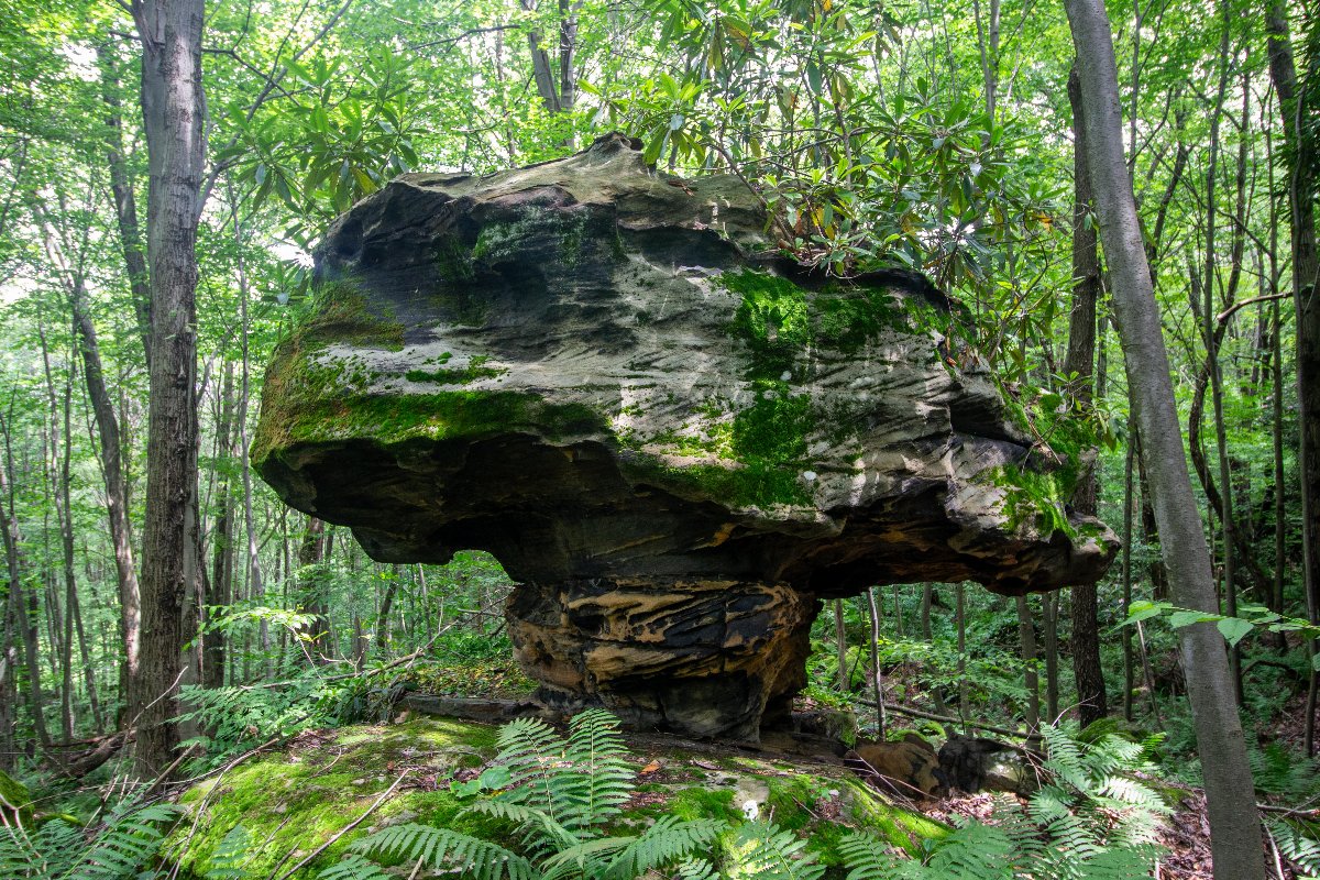 wallpaperable's tweet image. Discover "the holes" and marvel at the mystical "mushroom" formation 🍄 in western PA! Unveil its secrets 👉 [Link] #HiddenGems #ExplorePA