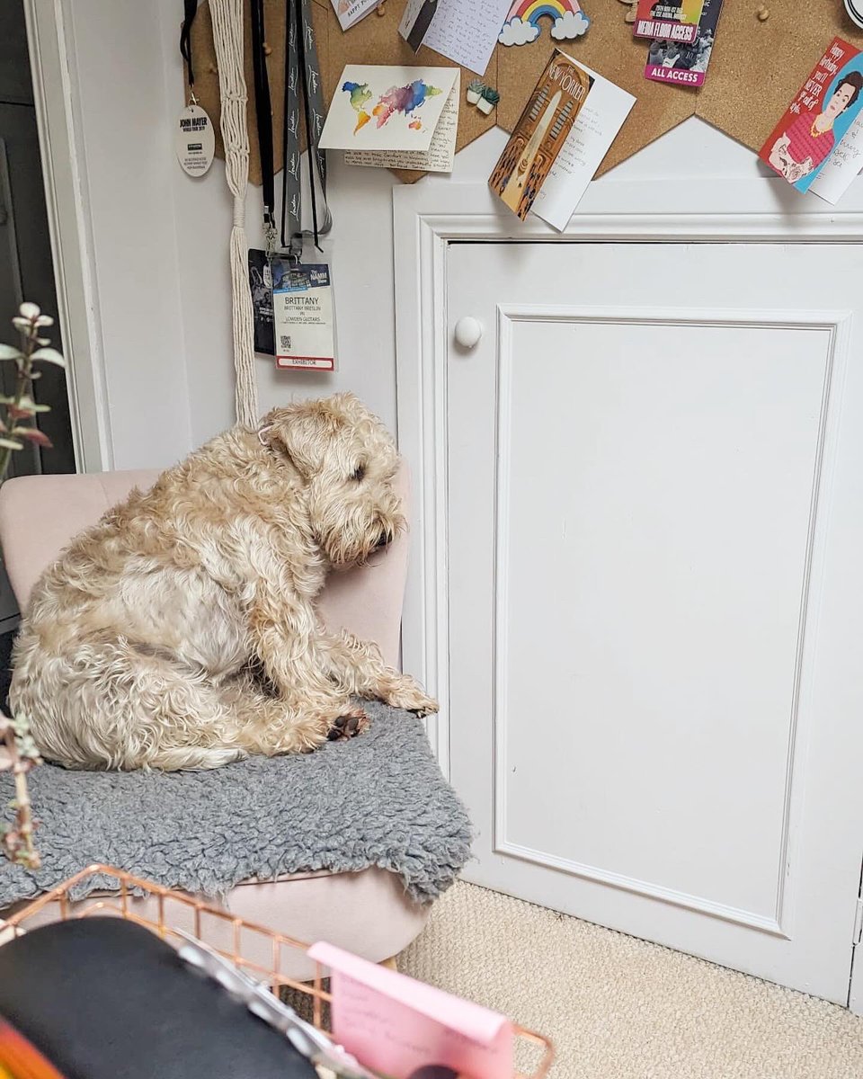 Impact Communications tweet media