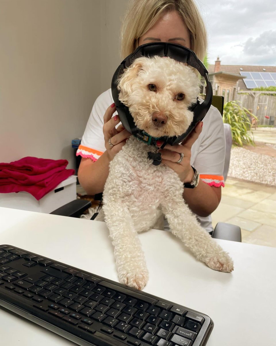 Impact Communications tweet media