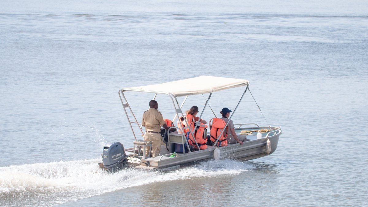 GoExplore Safaris - DMC tweet media