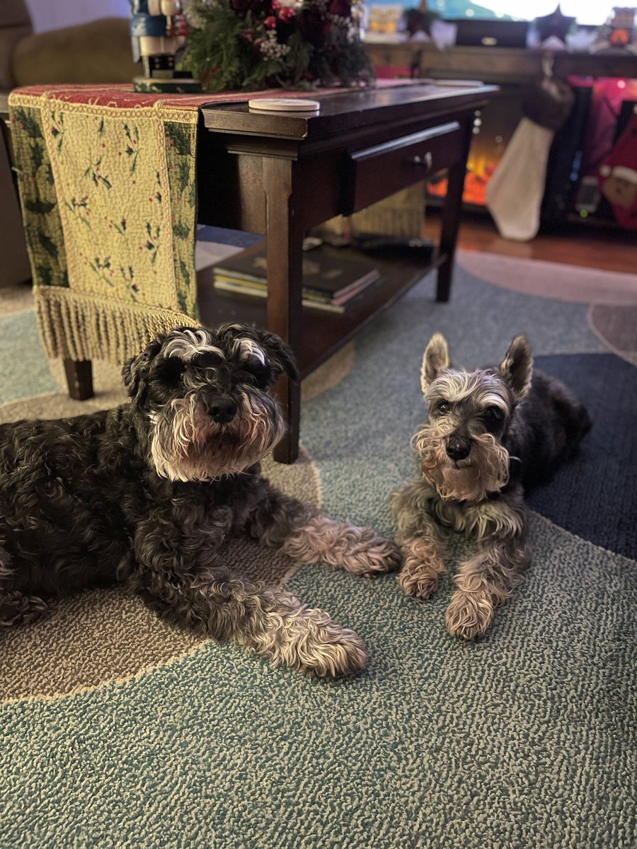 FetchDogTreats's tweet image. Happy Love Your Pet Day from Sgt Pepperoni &amp;amp; Sweetie #BeOn2 #GoFetchHappy