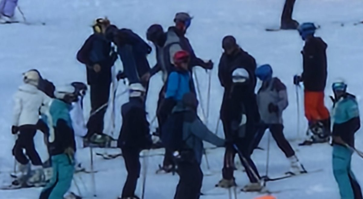 MrFitten tweet media