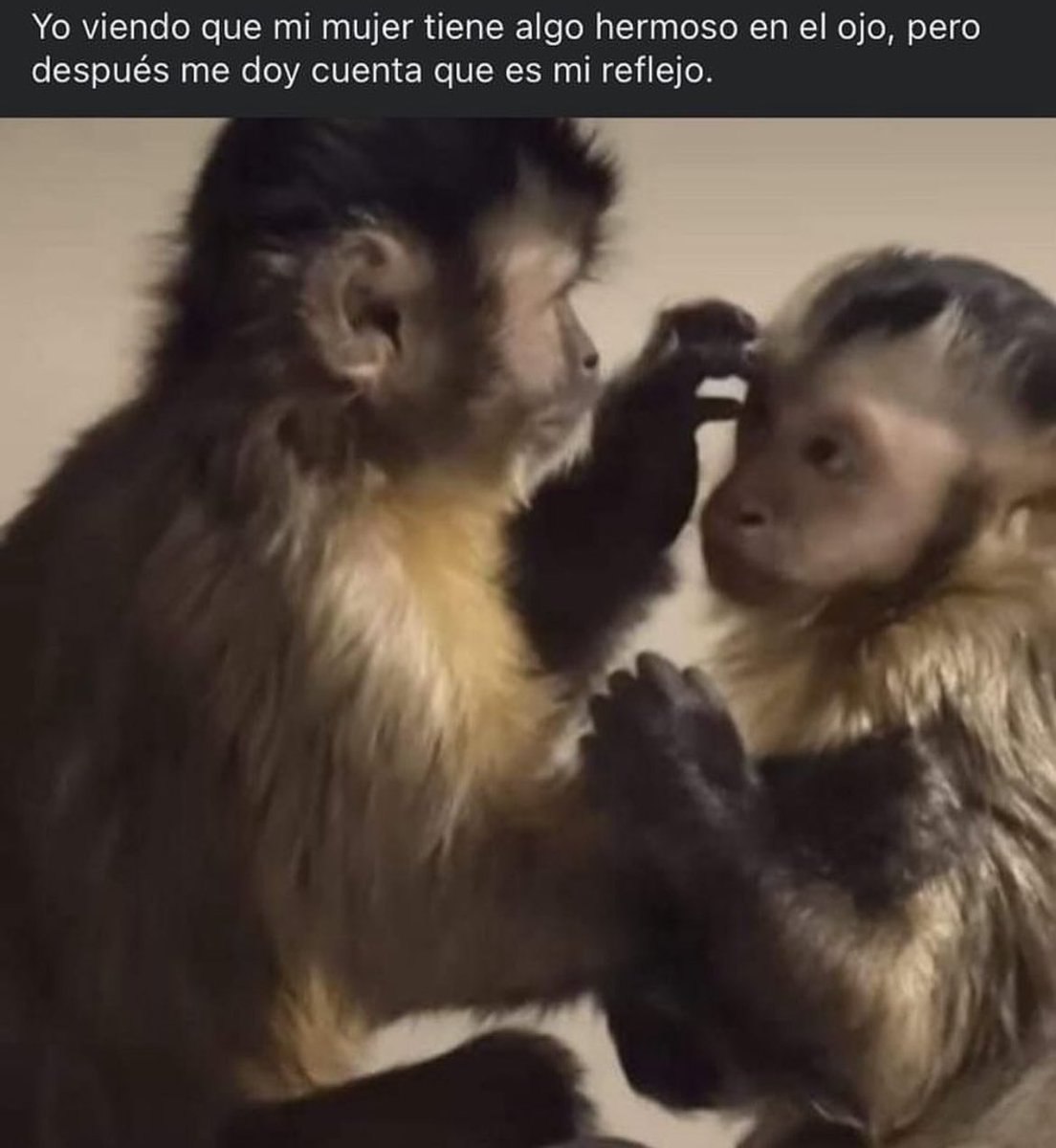 Así mero 😌😜