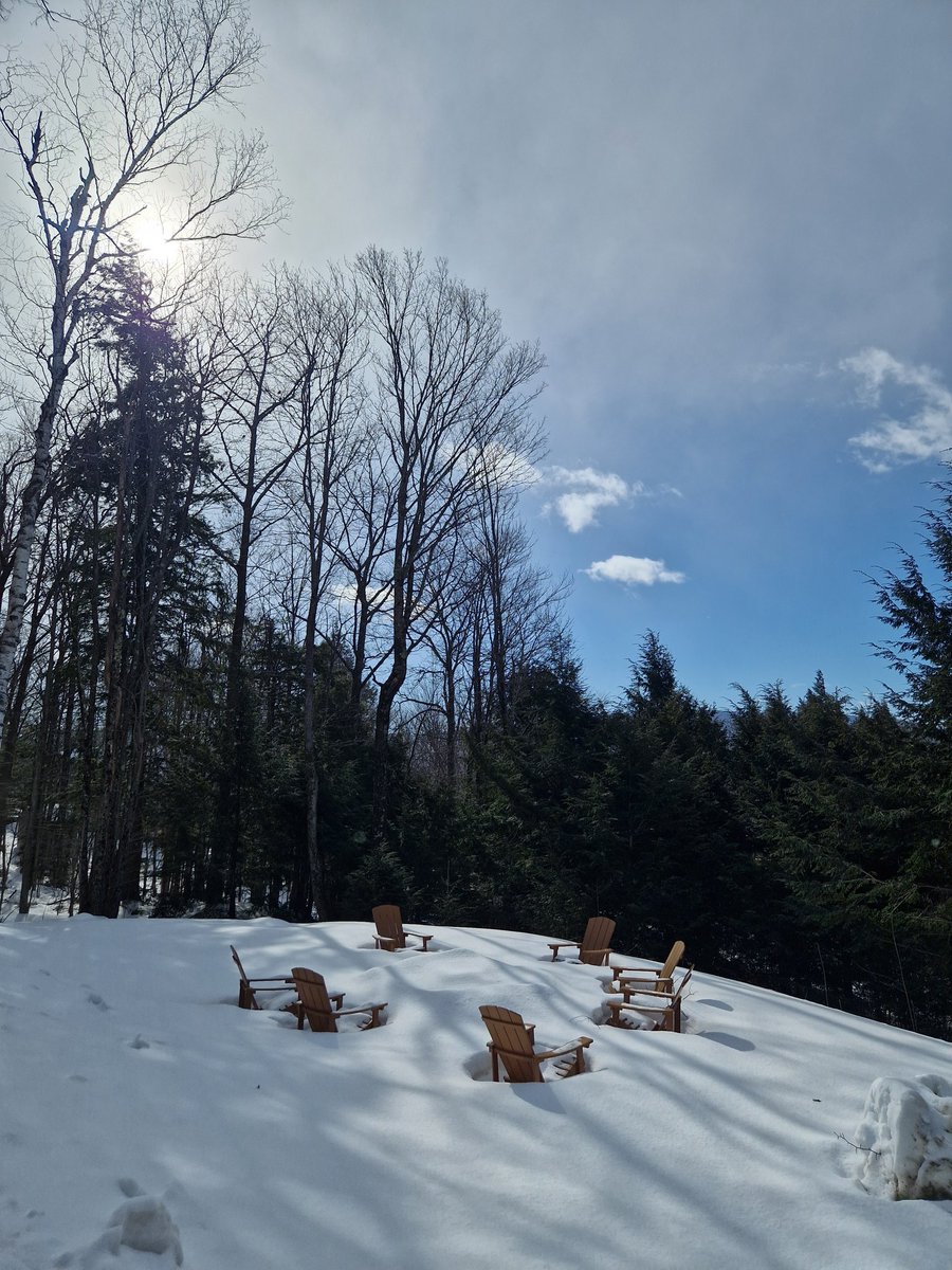 Beth Collinson, PhD. tweet media